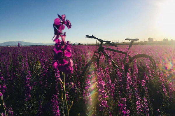 Խմբային հեծանվային արշավ դեպի Մարմաշեն