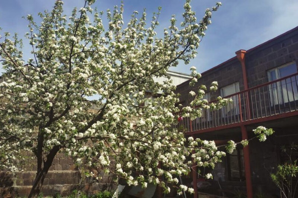 «Ռոբ և Լիլ» հյուրատուն