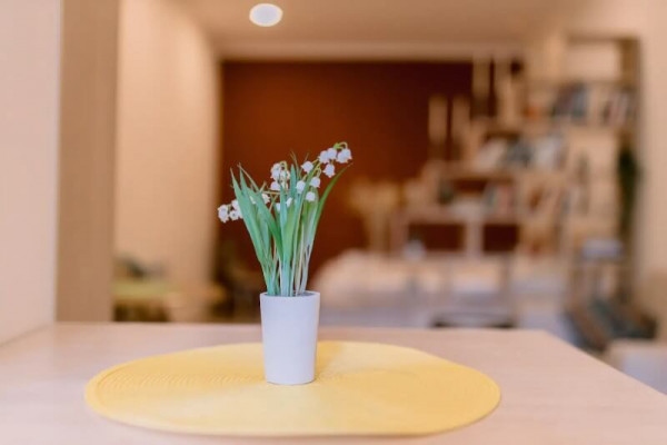 New central apartment Gyumri