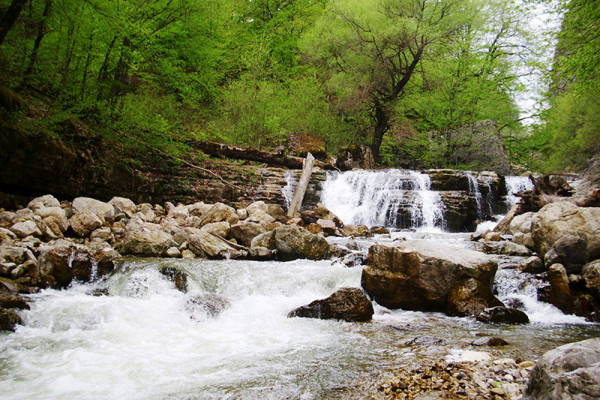Քայլարշավ դեպի «Լաստիվեր Անապատ» - Կանաչ տուն