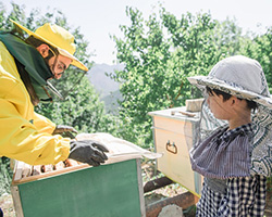 Arm Bee Honey Farm մեղվաբուծարան