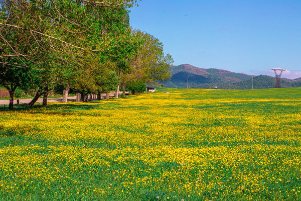 Քայլարշավ հյուսիսային Հայաստանի կիրճերով՝ Մարցի ձոր