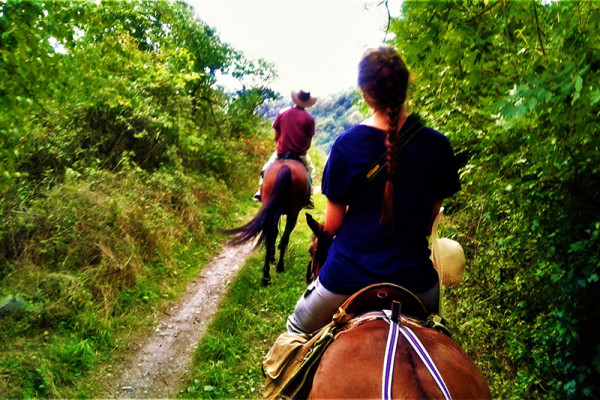 Ձիարշավ Ձորագետի կիրճում