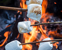 Հետաքրքիր ժամանց խարույկի շուրջ ՏՈՒԿ-ում