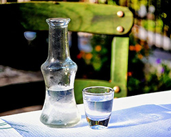 Մրգօղու և մեղրօղու թորման վարպետաց դաս