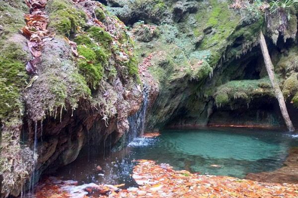 Քայլարշավ դեպի Թաքնված ջրվեժ՝ Ռուզան Ամիրյանի ուղեկցությամբ