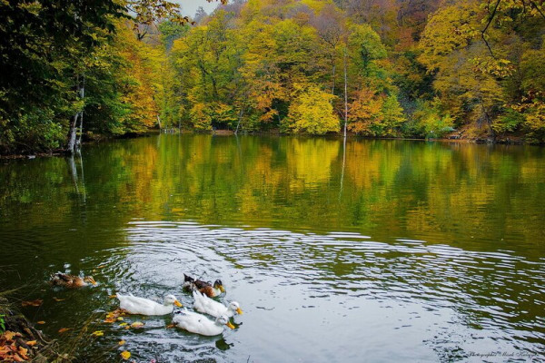 Քայլարշավ դեպի Պարզ լիճ-Դիլիջան՝ Ռուզան Ամիրյանի ուղեկցությամբ