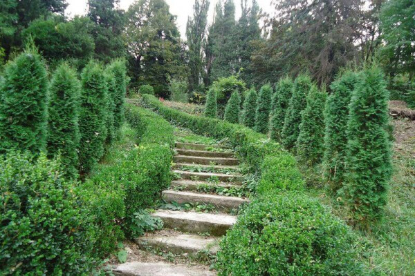 Իջևանի դենդրոպարկ - Կանաչ սիմֆոնիա